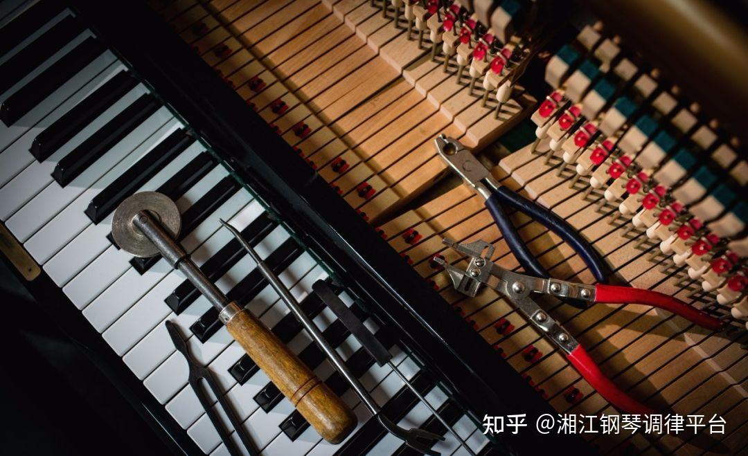 钢琴的调音和调律有什么区别? - 知乎