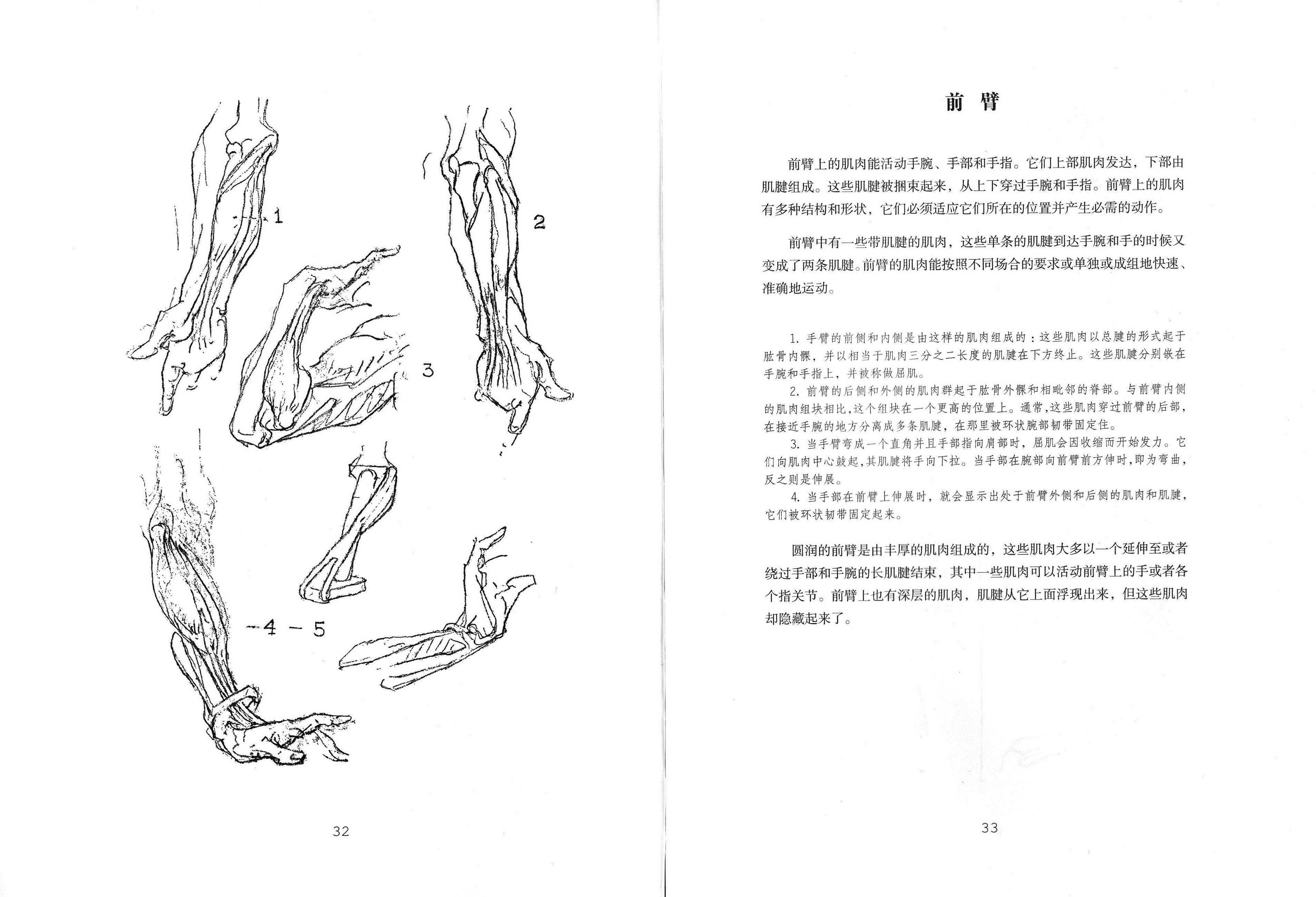 有没有推荐的人体结构书籍?(类似牛津艺用人体解剖)?