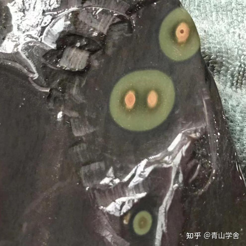 【端渓硯板　胭脂暈・蕉葉白・火捺・翡翠紋など】◆八吋◆上質箱◆旧麻子水巌坑美石 硯【端渓硯 胭脂暈・蕉葉白・火捺・金綫など】◇6.5吋◇上質箱