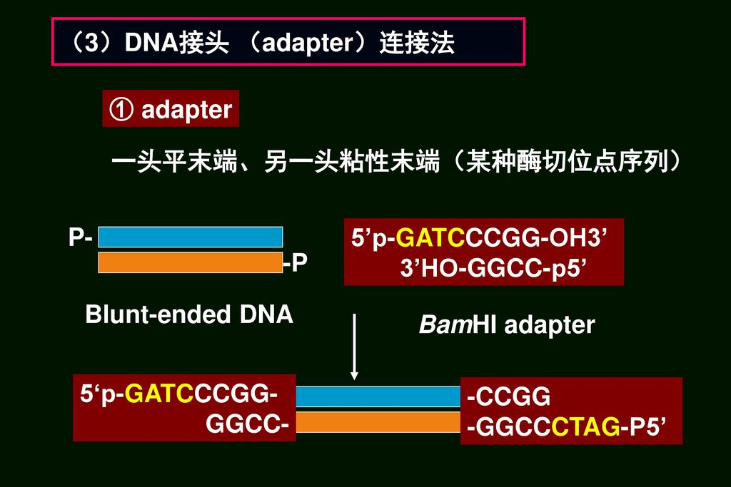 载体和目的基因一个为平末端一个为黏性末端，或者两者是非互补的黏性末端，如何进行连接？ - 知乎