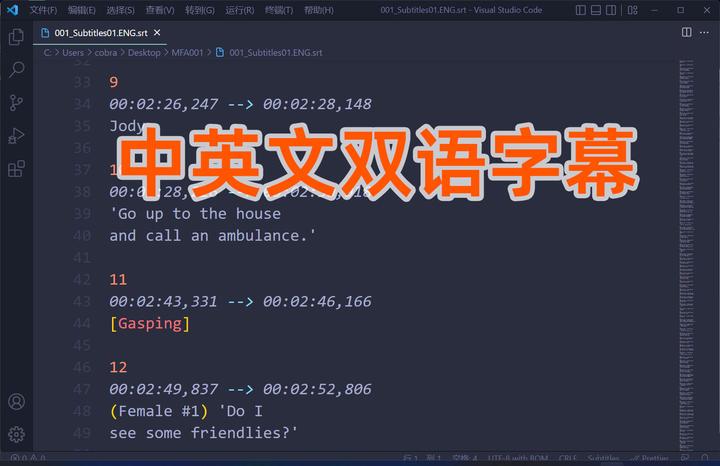 简易快速制作中文字幕及双语字幕的方法 - 知乎