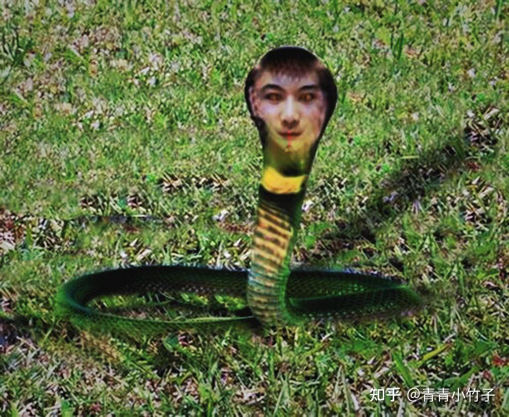 为什么古今中外都流传着人头蛇身的神灵形象? - 知乎