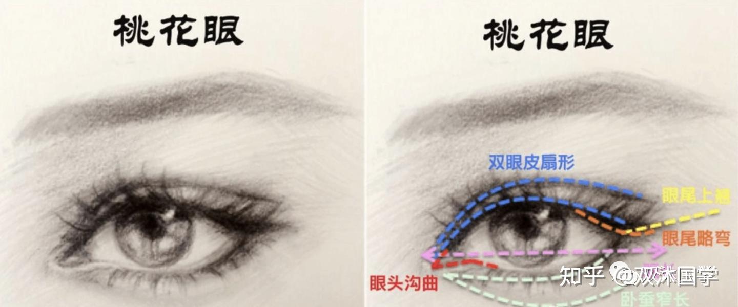 什么是桃花眼【面相】 - 知乎