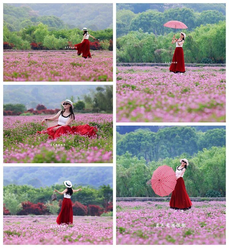 中年姐妹和紫花小花合影，7个好看姿势，温柔大方有氛围！