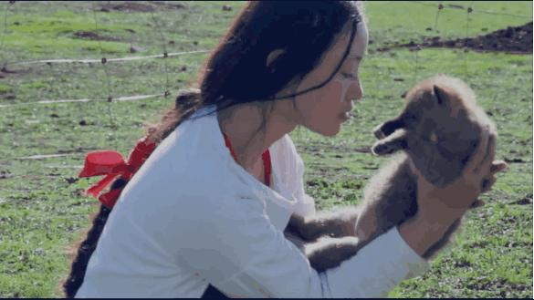 感动千万网友的故事再刷屏:她养大一匹狼,送它重返狼群_https://www.izongheng.net_快讯_第4张