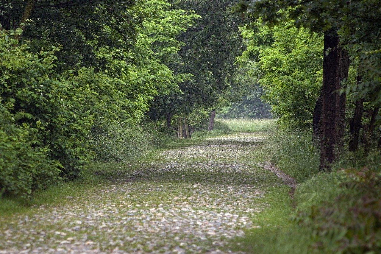 4. 交通便利程度