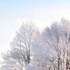 长流水