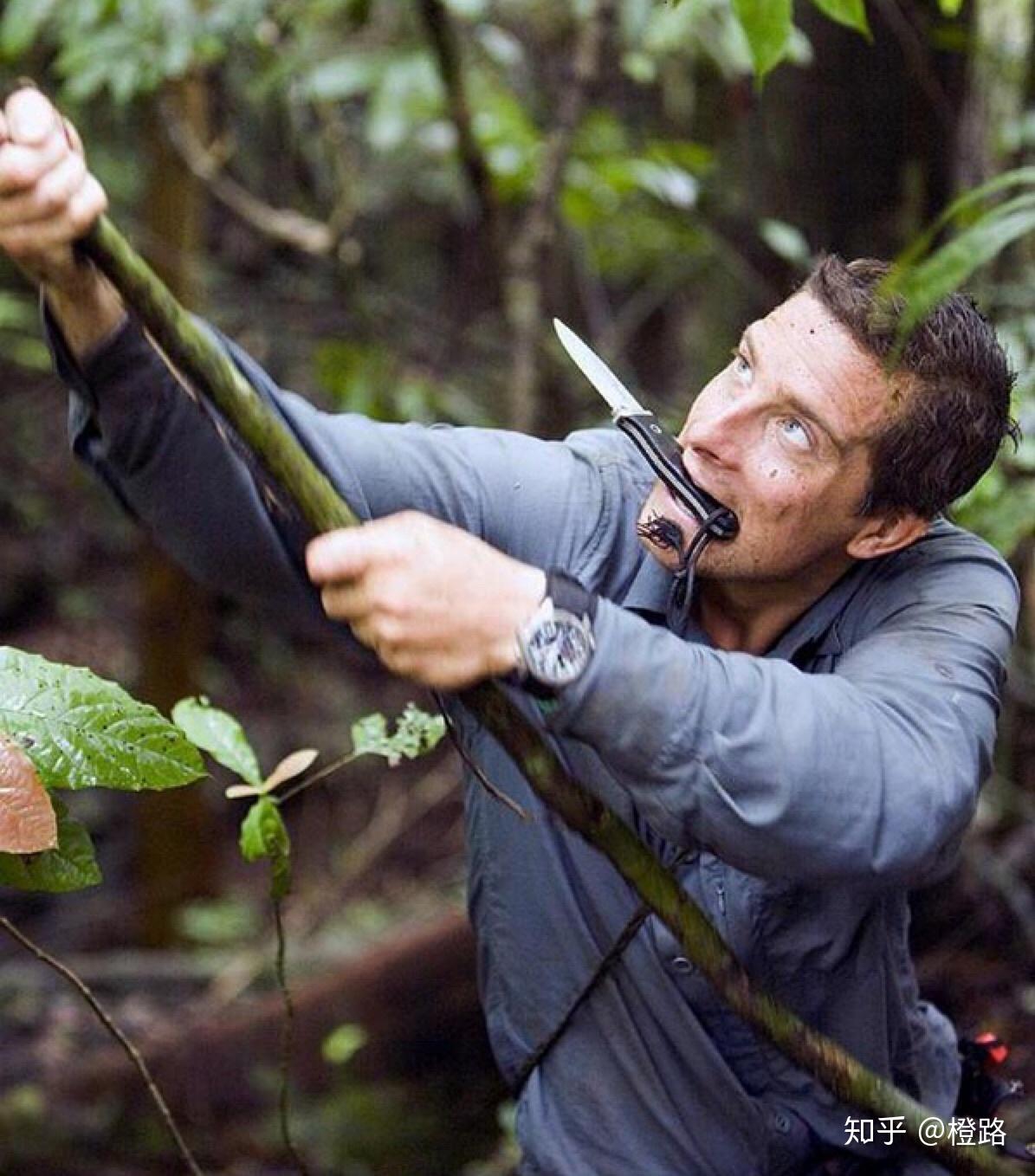 如何看待贝尔格里尔斯贝爷入驻b站