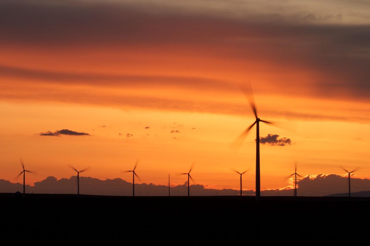 欧睿宇邦公司怎么样