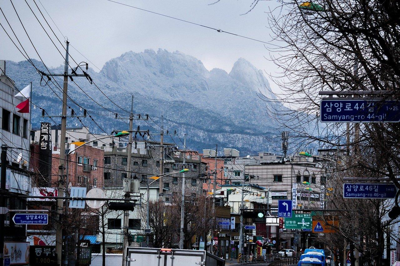2. 汉城黑鸭口感