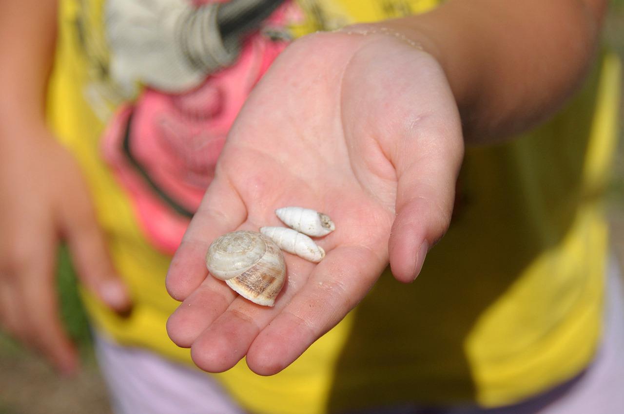 3. 风扇外壳大小