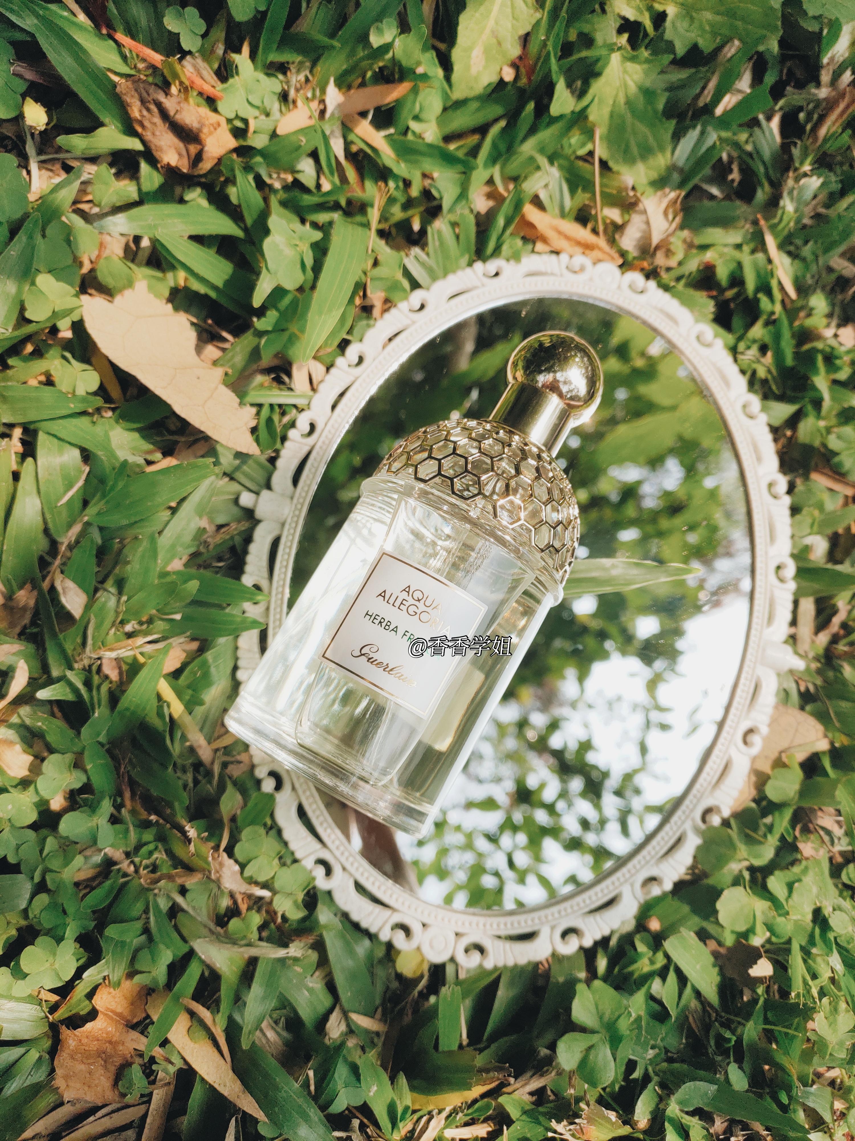 墨恋 灰色法兰度 云淡风轻香水哪个更适合高中生? - 知乎