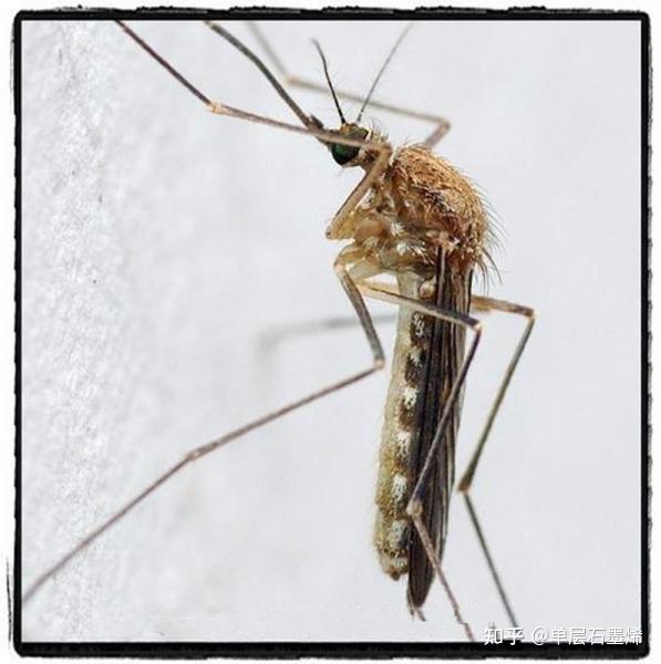 此问题解决了灭? - 知乎