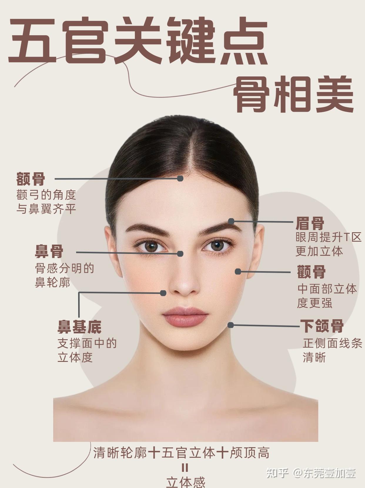 骨相美 - 知乎