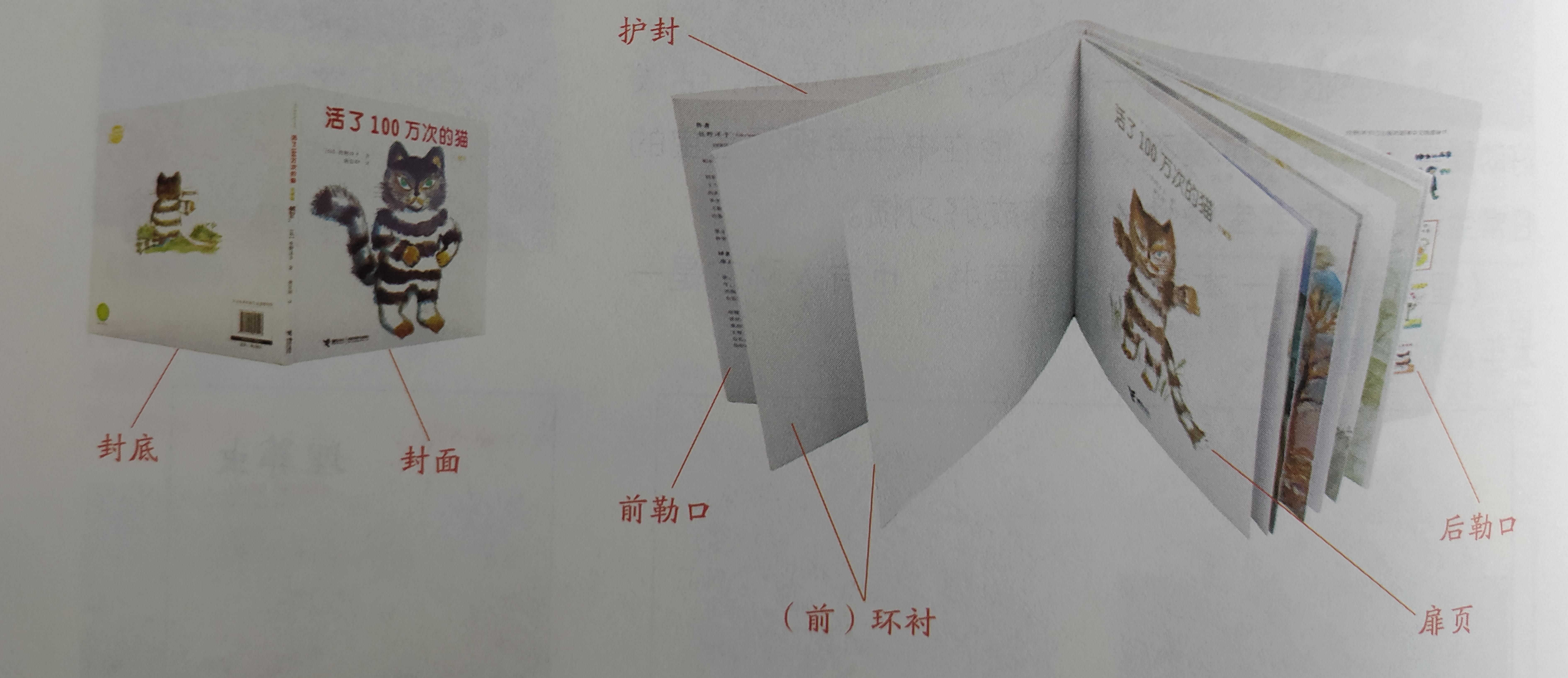 如何陪孩子精读绘本? - 知乎