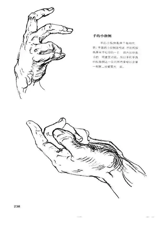 初学者有必要临摹伯里曼吗? - 知乎