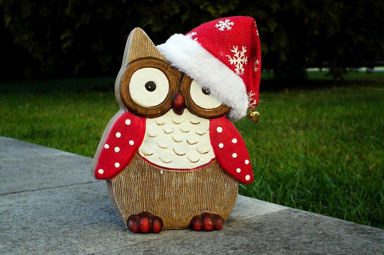 陪伴成长的伙伴