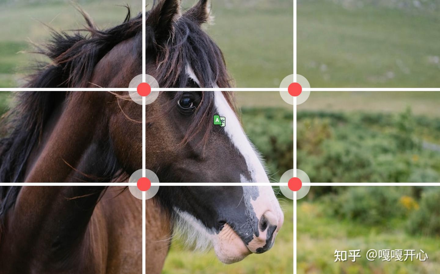 12 种摄影构图技巧,实现更好的设计 - 知乎
