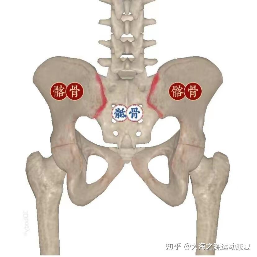 女性骶髂关节炎症状图片