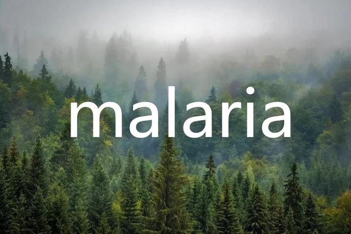 malaria