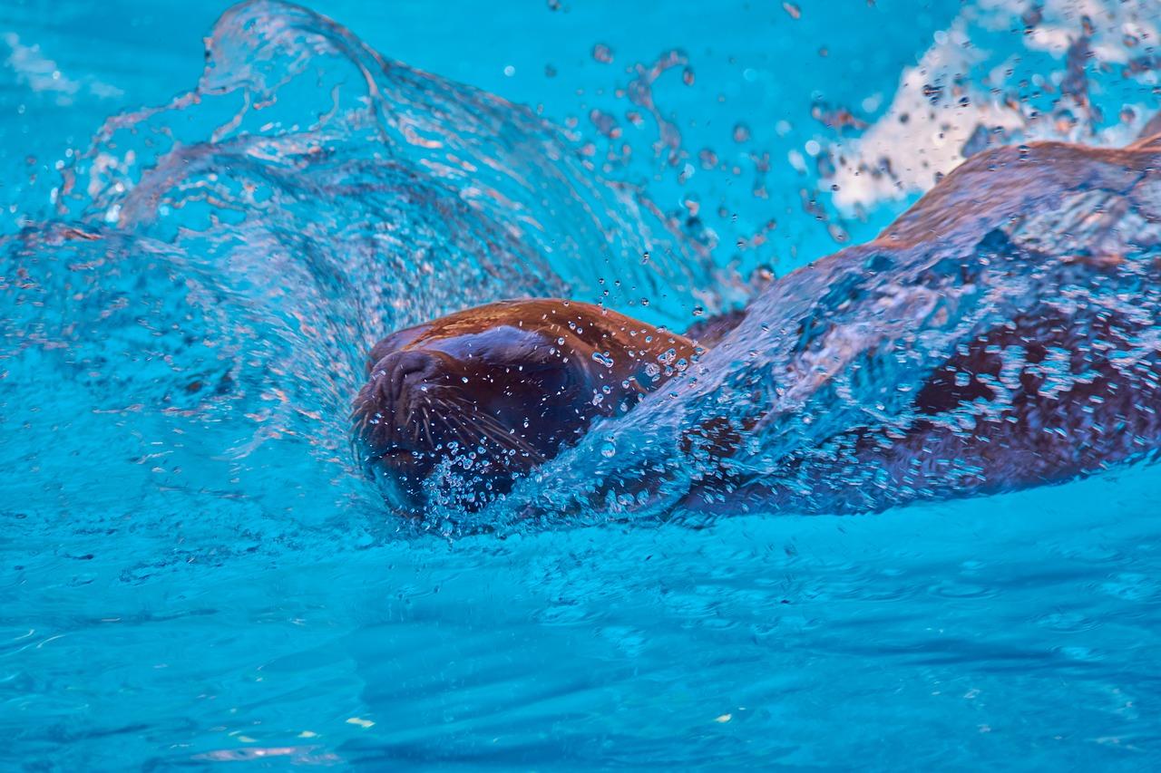 3. 避免交叉感染