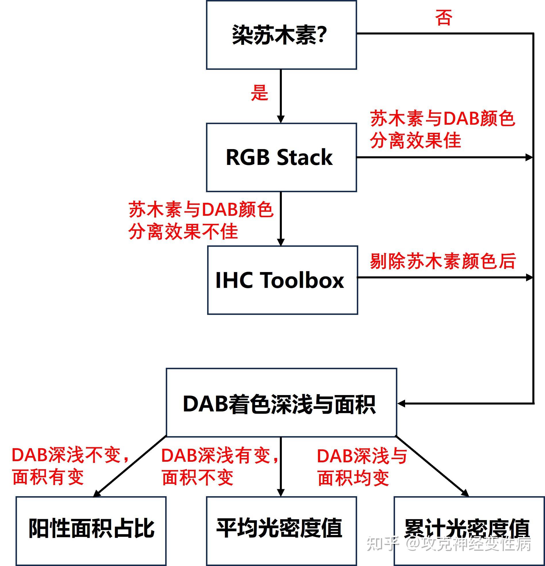 一图看懂免疫组化结果图片