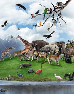 动植物园是城市人最直接接触大自然的方式,到动植物去我们应该看什么