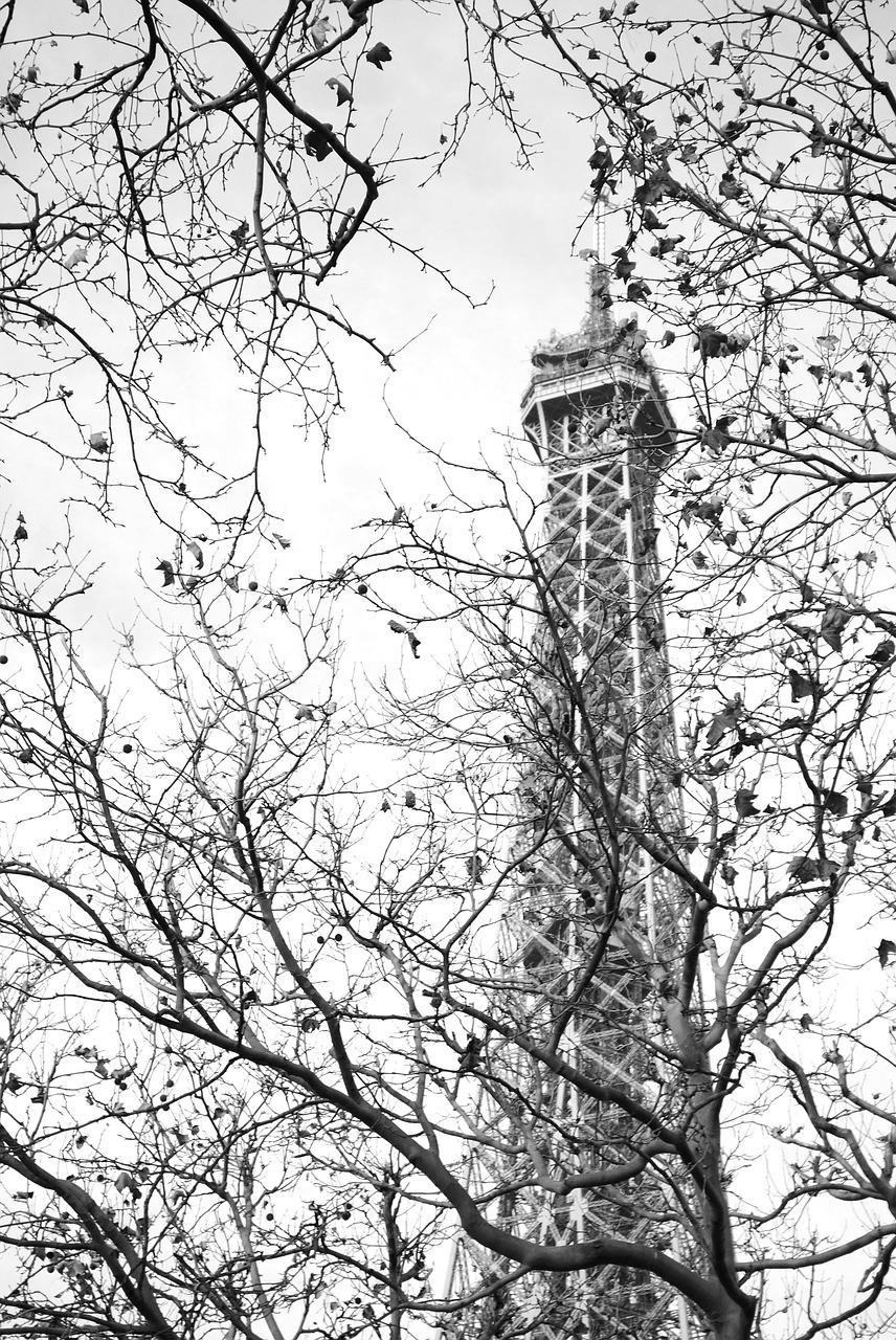 巴黎春天多少钱