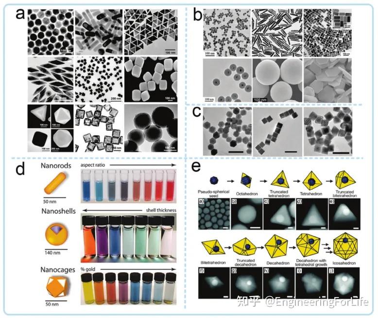 《AFM》综述:用于干细胞治疗的纳米工程内吞生物材料 - 知乎