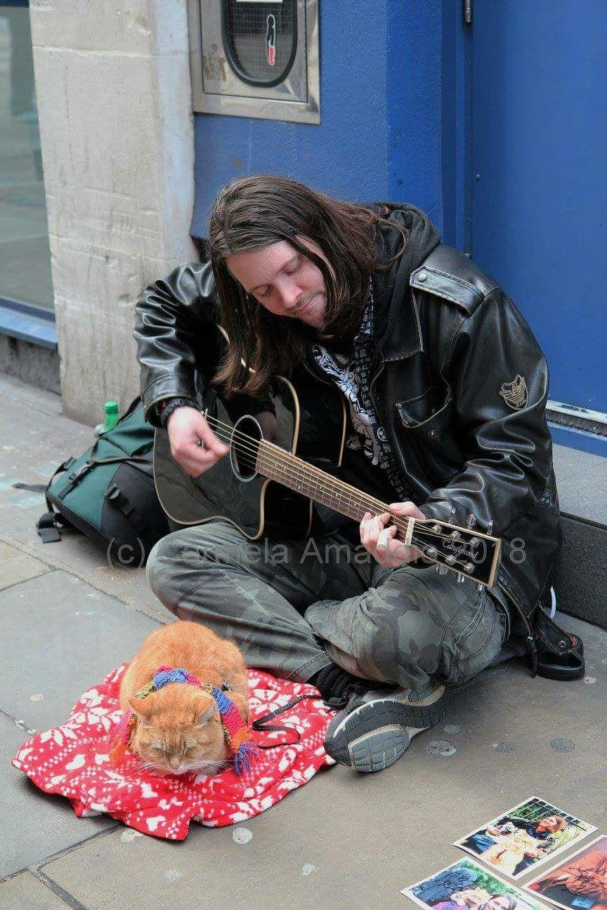 如何评价电影流浪猫鲍勃astreetcatnamedbob