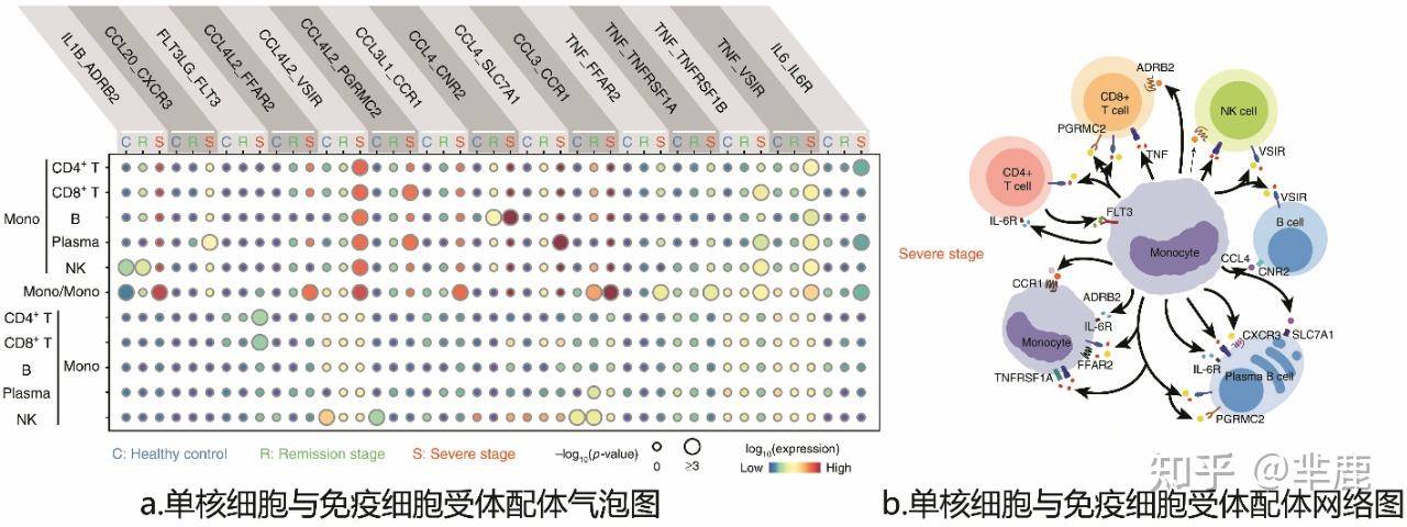 Cellchat Paper CellChat细胞通讯分析(上)--文献解读 - 知乎