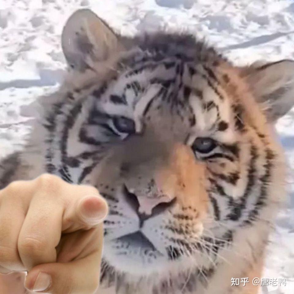 有哪些聊天的时候可以用上的沙雕歇后语