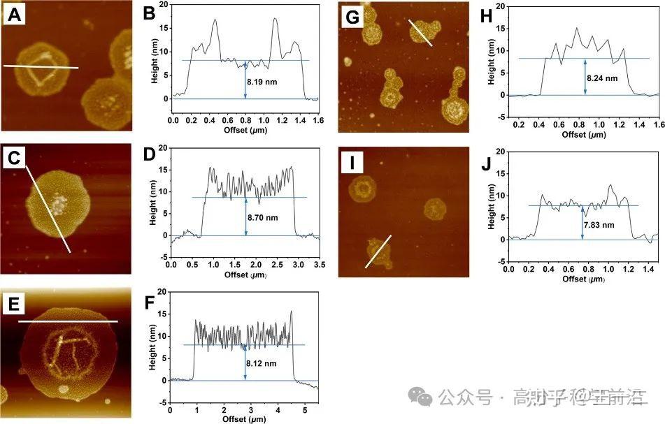 天津科技大学程博闻教授团队《JACS》：瓶刷状半结晶嵌段共聚物自组装快速构筑尺寸均匀二维片状胶束 - 知乎