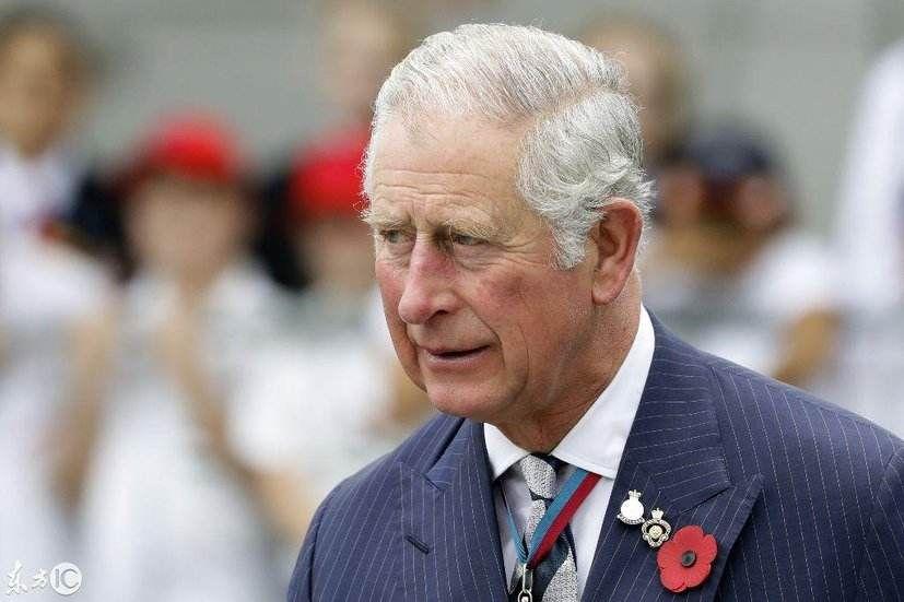如何看待英国王储查尔斯王子新冠肺炎核酸检测呈阳性