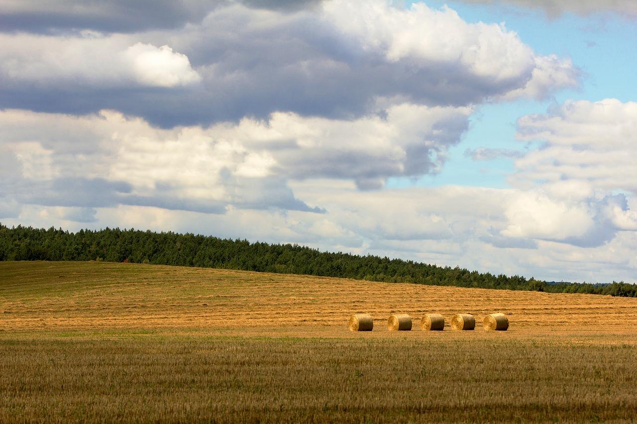 如何设计分区字段