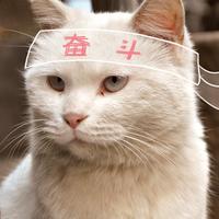 Umi-OCR+PaddleOCR：当下扫描件 pdf OCR 的最优方案 - 知乎