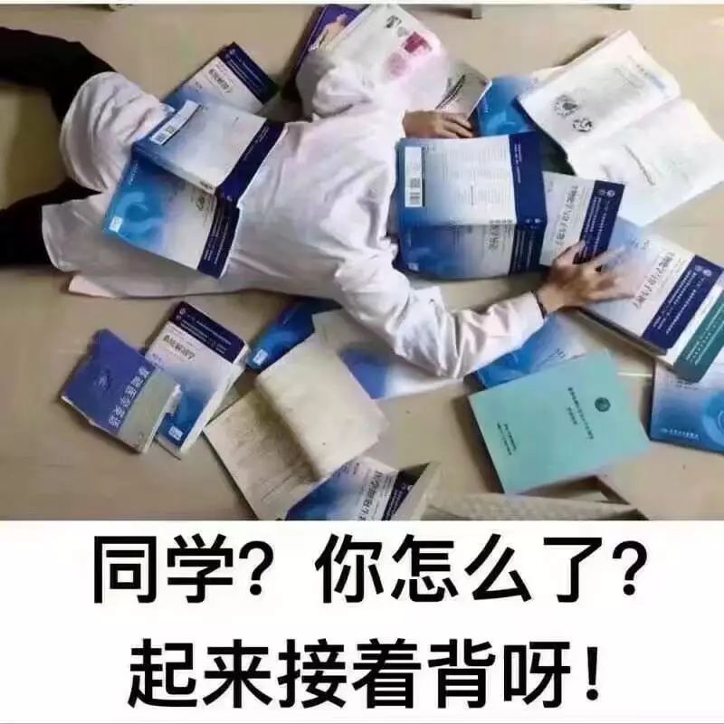 有哪些适合期末学习发的沙雕表情包？ - 知乎