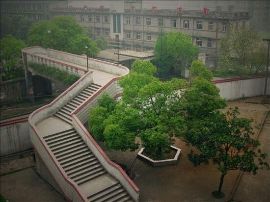 在沅江市琼湖书院就读是一种什么体验?