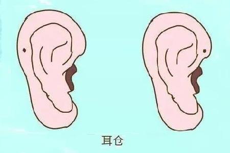 首大戴海江:耳仓到底是什么?