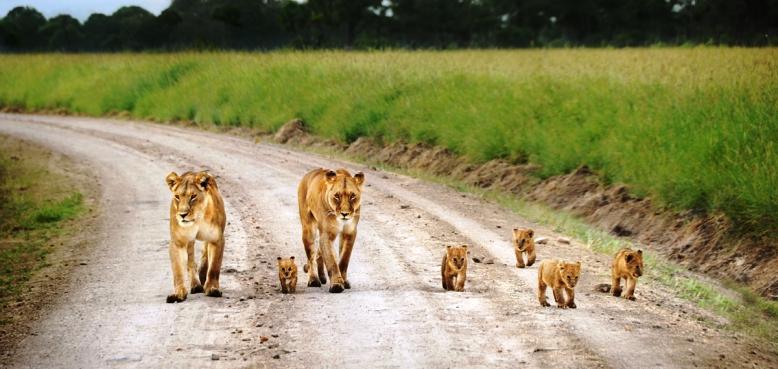 到非洲以后,你有哪些既有认知被打破?