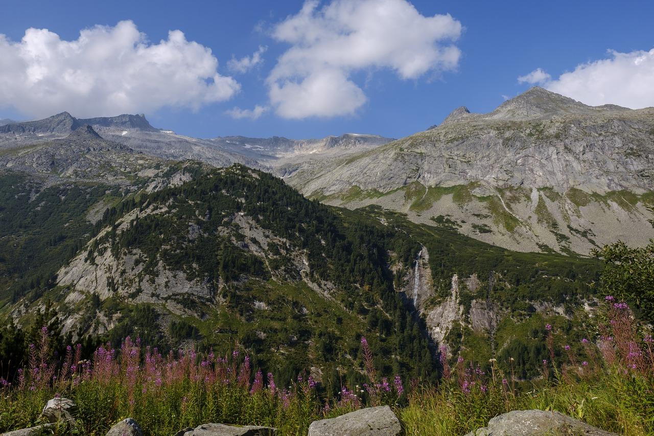 4. 奇峰宿舍地图