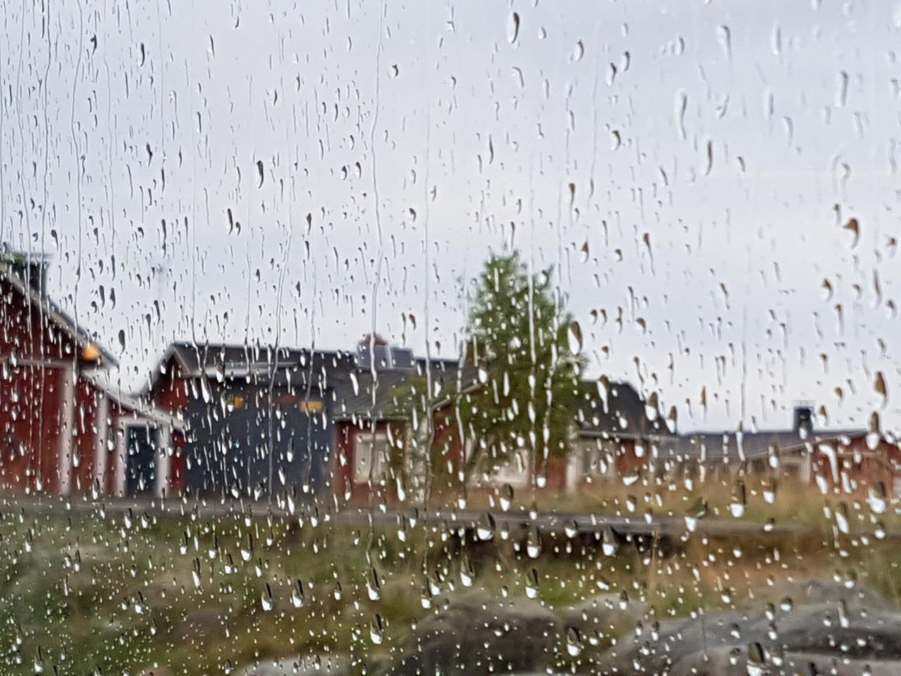 雨中寻秋趣无穷