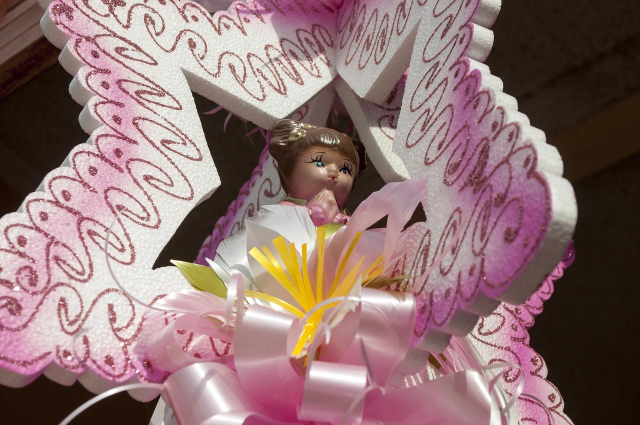 法国香水花 如何修剪