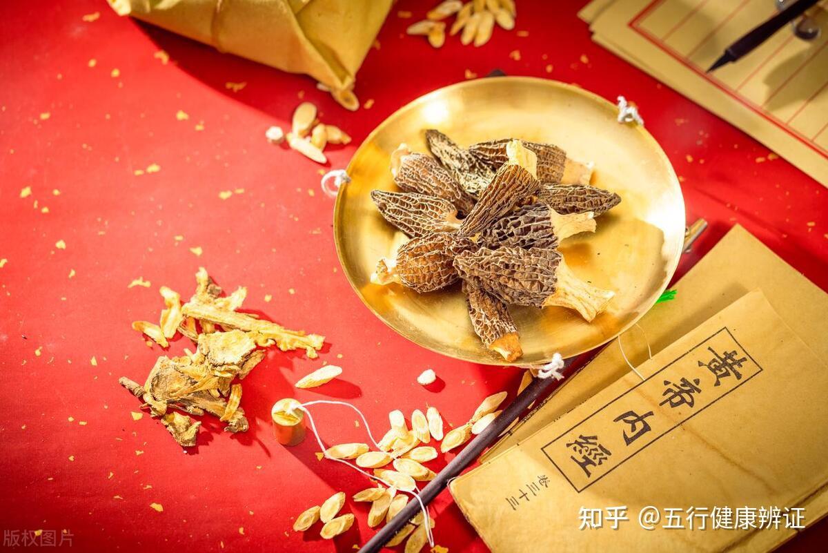 养生宝典:从绝骨穴【悬钟穴】看胆和骨之间的紧密联系 - 知乎