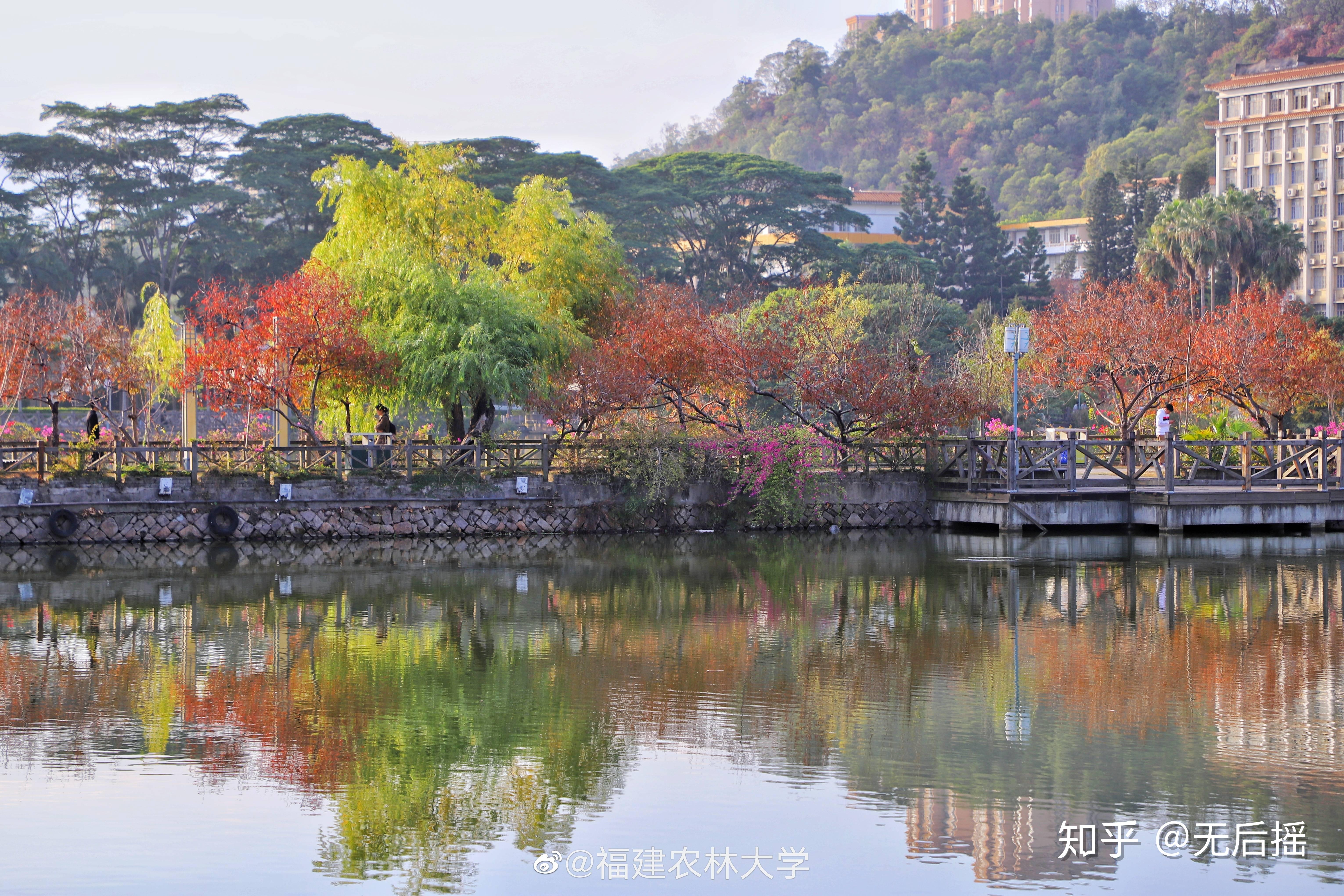 福建农林大学的校园环境如何