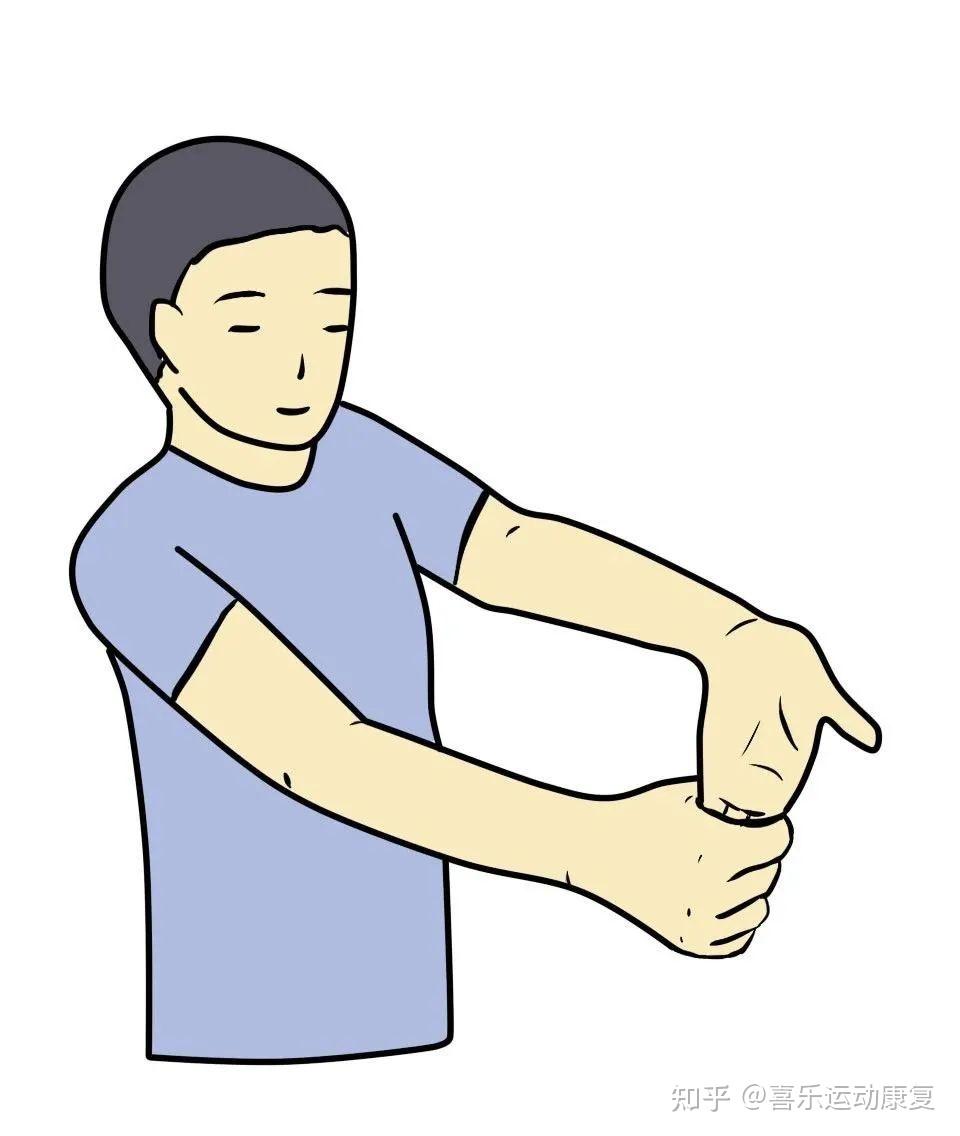 网球肘怎么康复,如果康复不了,那肘关节屈伸类动作如何代替? - 知乎