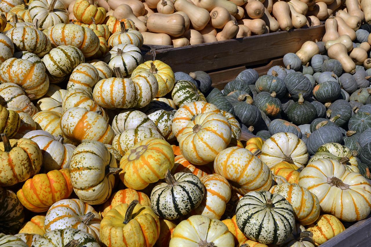 2. 真空包装保存