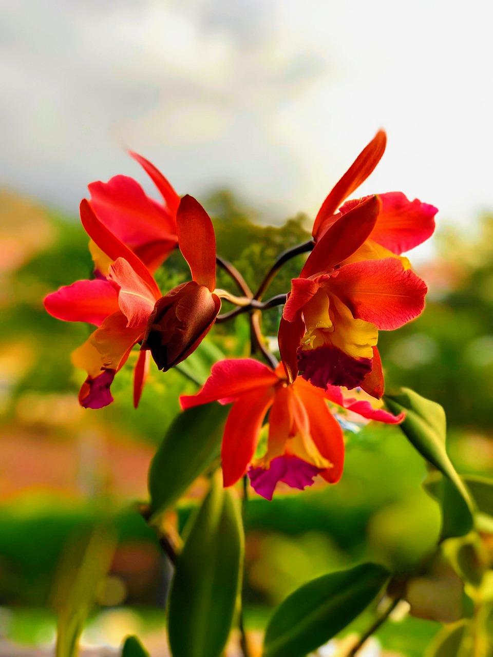 4. 生态宜居之地