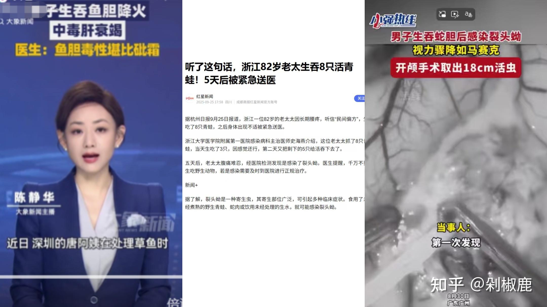 民间流传「鱼胆能清火、解毒」,女子生吞鱼胆导致肝衰竭,为什么会这样?鱼胆为何毒性如此强烈? - 知乎