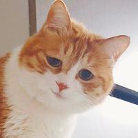 Zhihu profile picture for @mundane